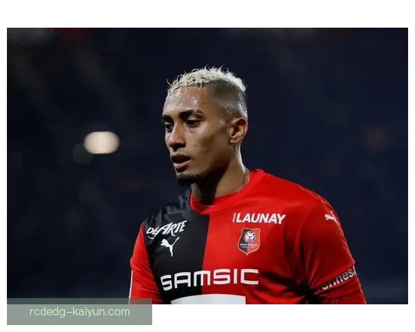 拉菲尼亚转会费总和走势清晰，市场表现稳健引人瞩目